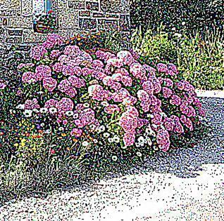 Villa lemoign-locations à Crozon Extérieur photo